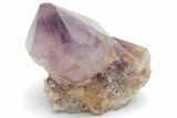 Cactus Quartz (Amethyst) Crystal - South Africa #220035-1